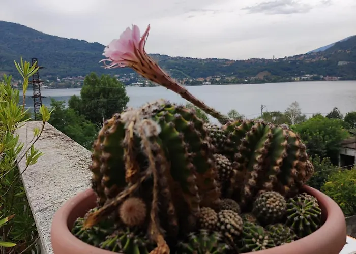 شقة Terrazzo Sul