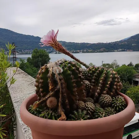 Apartmán Terrazzo Sul